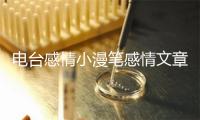 电台感情小漫笔感情文章大年夜齐简短？感动听心的感情文章