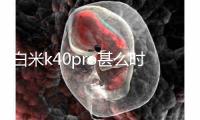 白米k40pro甚么时候上市的,白米k40pro甚么时候上市的足机