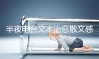 半夜电台文本治愈散文感情表达散文大年夜齐500篇
