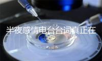 半夜感情电台台词真正在感情故事大年夜齐闭于女性的散文
