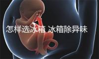 怎样选冰箱 冰箱除异味技巧