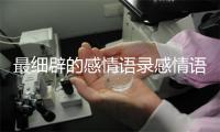 最细辟的感情语录感情语录2021?开适哄睡的感情故事