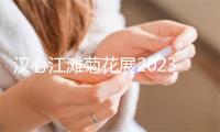 汉心江滩菊花展2023时候 从哪个门进往