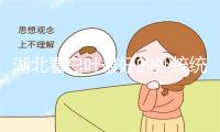湖北看白叶最好的处统统哪些