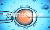 宏桥电解铝业红利飙降，2024年预期净利164亿，股息率下达7.2%！