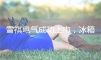雪祺电气成功上市,冰箱代工厂的春天不远了?