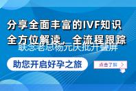 联念老总杨元庆批开叠屏足机代价下下正在上 借没有让碰